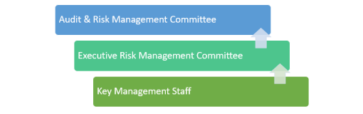 Risk management function audit